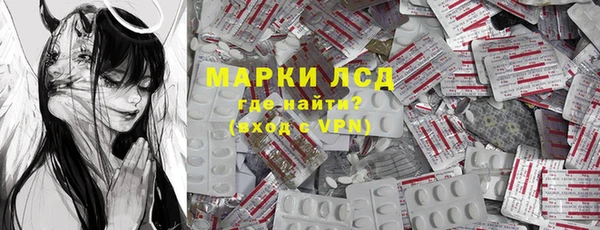 прущие грибы Алзамай