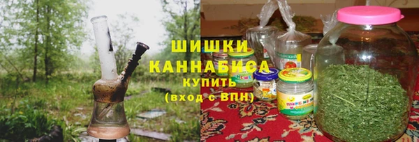 прущие грибы Алзамай