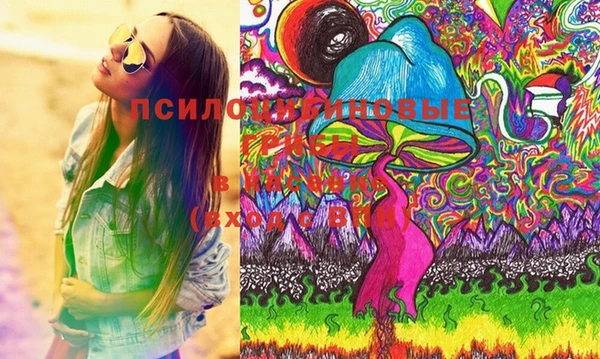 прущие грибы Алзамай
