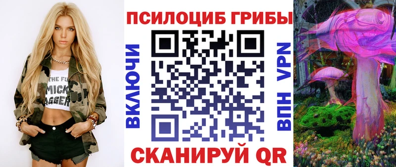 Псилоцибиновые грибы Psilocybe Киреевск