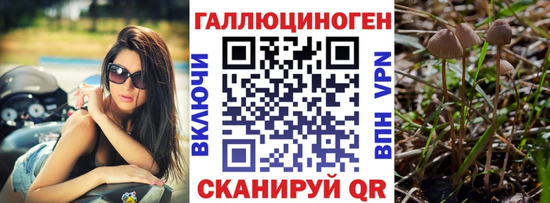 Псилоцибиновые грибы мухоморы  shop телеграм  Киреевск 